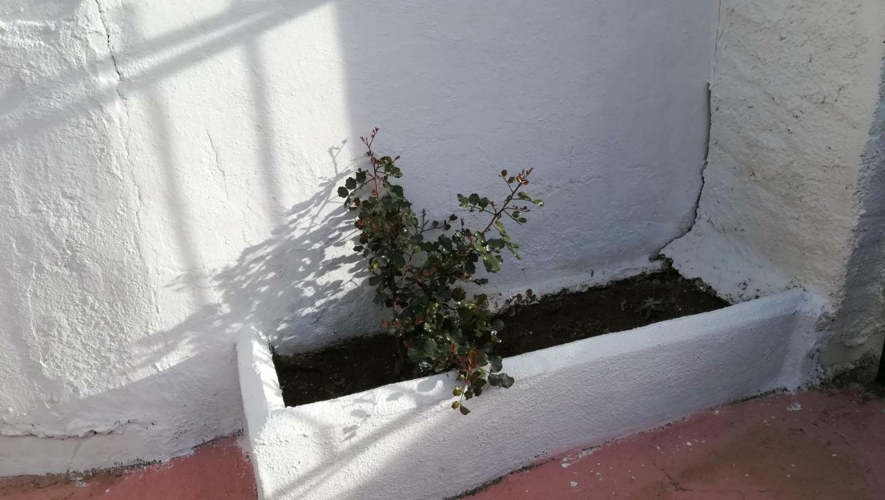 Hotel Casa Cueva El Algarrobo à Guadix Extérieur photo